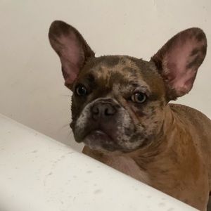 Meet your Posher, Timaiah